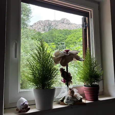 Apartment Oliva Relax Baska (Krk)