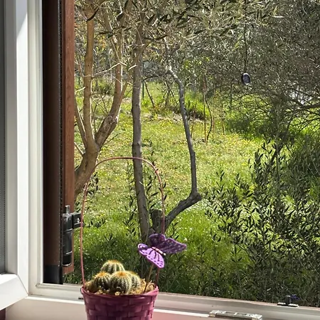 Oliva Relax Apartment